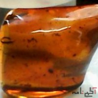کهربای بالتیک به وزن 126 گرم , AMBER