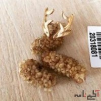 انگشتر عمده تاج گوزن تمام استیل
