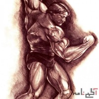 آموزش بدنسازی و تناسب اندام