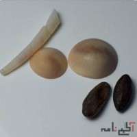 مهره مار افعی