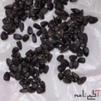 فروش انواع تخمه خام و تفت شده و عسل