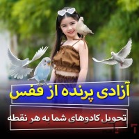 تحویل کادو و آزاد کردن پرنده