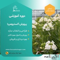 دوره آموزشی پرورش شاخه بریده آلسترومریا