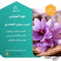 دوره آموزشی پرورش زعفران گلخانه ای ایروپونیک