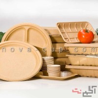 قیمت لیوان یکبار مصرف گیاهی