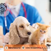 کلینیک تخصصی حیوانات خانگی کرج