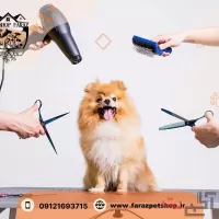 اصلاح و شستشوی حیوانات خانگی کرج