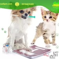 درمان بیماری های سگ ها و گربه ها