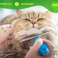 پرورش حیوانات خانگی در کرج