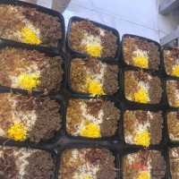 غذای پرسنلی و مدیریتی