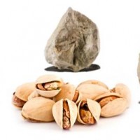 عرضه کننده گوگرد پودری فروش گوگرد معدنی