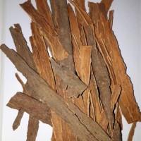 فروش مستقیم کنجد  ارس دانه