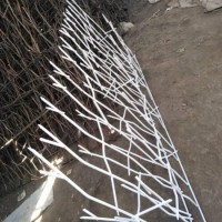 آهنگری و شاخ گوزنی