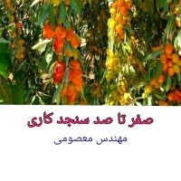 درآمد میلیاردی از باغداری