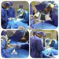 بیمارستان دامپزشکی و پت شاپ شبانه روزی حیوانات خانگی و پرندگان درین