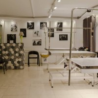 کلینیک دامپزشکی و بیمارستان شبانه روزی حیوانات و پت شاپ درین