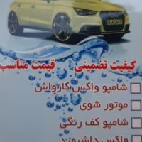 محصولات شوینده کارواش بلموند